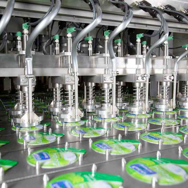 kova yoğurt dolum ve kapatma makinası 3